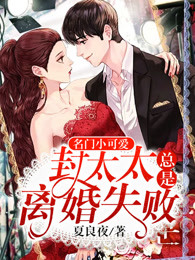 ����С�ɰ�����̫̫�������ʧ�������Ķ�txt����