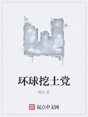 ����������С˵