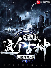 �����������ʶС˵