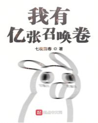 ���������ٻ���С˵