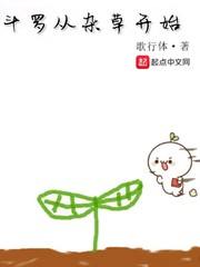 ���޴��Ӳݿ�ʼС˵