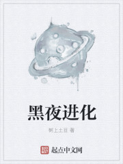 ��ҹ����С˵