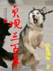 ���������С˵