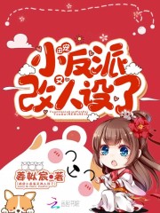 ����ƫִ̫�ӵ��ų�С����С˵