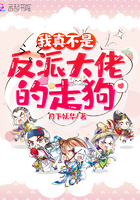 ���治�Ƿ��ɴ��е��߹�С˵