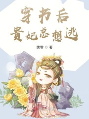 ��������������С˵