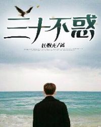 ��ʮ����С˵