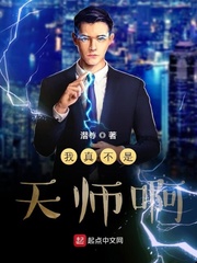 ���治����ʦ��С˵