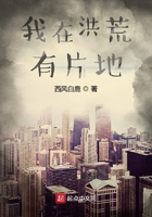 ���ں����Ƭ��С˵