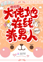 ���ݺ����������������С˵