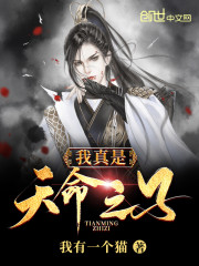 ����������֮��С˵