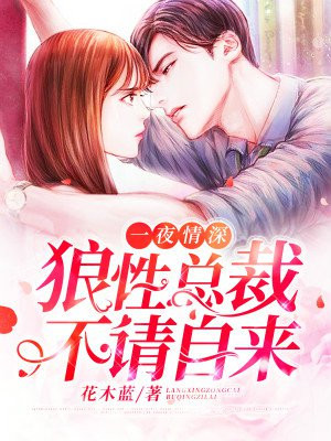 һҹ��������ܲã���������С˵