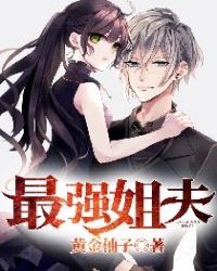 ��ǿ���С˵