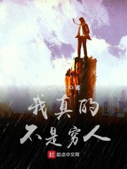 ����Ĳ�������С˵