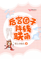 ��������������С˵