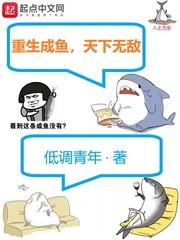 �������㣬�����޵�С˵