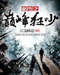 ����֮�۷����С˵