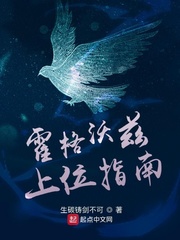 ����������λָ��С˵