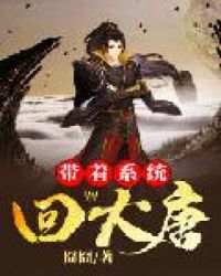 ����ϵͳ�ش���С˵