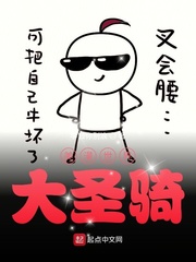 ���������ʥ��С˵