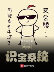 �ҵ�ʶ��ϵͳС˵