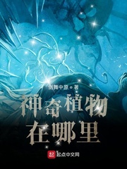 ����ֲ�������