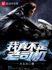 ���治����˾��С˵