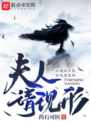 ����������С˵