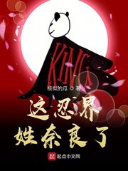 ���̽���������С˵