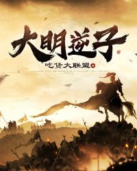 ��������С˵