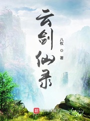 �ƽ���¼С˵