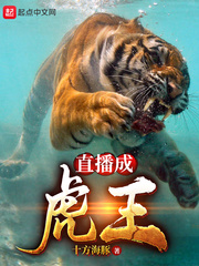 ֱ���ɻ���С˵