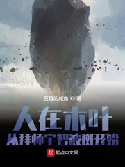 ����ľҶ���Ӱ�ʦ���ǲ��߿�ʼС˵