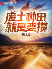 �����������Ҫ��С˵