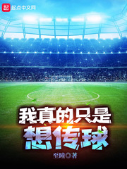 �����ֻ���봫��С˵