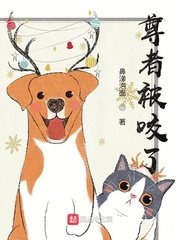 ���߱�ҧ�������Ķ�txt����