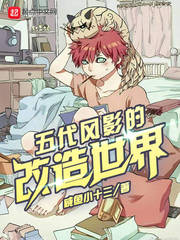 �����Ӱ�ĸ�������С˵