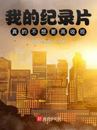 �ҵļ�¼Ƭ��Ĳ���Ҫ�����ӣ�С˵