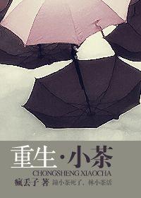 ������С��С˵