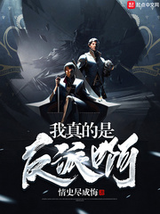 ������Ƿ��ɰ�С˵