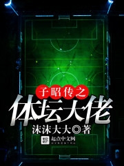 ���Ѵ�֮��̳����С˵