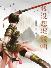 ��û��׽����С˵