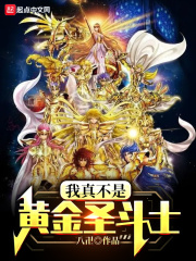 ���治�ǻƽ�ʥ��ʿС˵