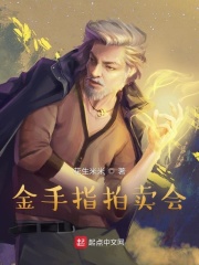 ����ָ������С˵