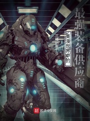 ���������е���ǿװ����Ӧ��С˵