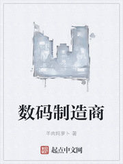 ����������С˵