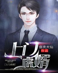 ���Ż���С˵