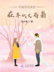 ����ǩ��ϵͳ������Ĺ���С˵