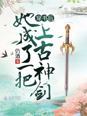 �����������һ���Ϲ���С˵