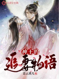 ������׷������С˵